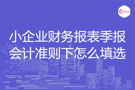 小企業(yè)財(cái)務(wù)報(bào)表季報(bào)會(huì)計(jì)準(zhǔn)則下怎么填選