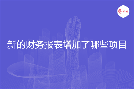 新的财务报表增加了哪些项目