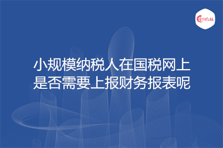 小规模纳税人在国税网上是否需要上报财务报表呢