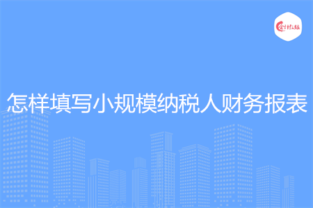 怎样填写小规模纳税人财务报表