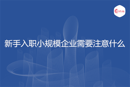 新手入職小規(guī)模企業(yè)需要注意什么