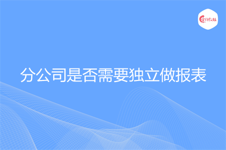 分公司是否需要独立做报表