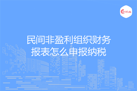 民间非盈利组织财务报表怎么申报纳税