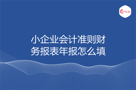 小企業(yè)會計準則財務(wù)報表年報怎么填