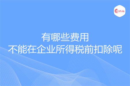 有哪些費(fèi)用不能在企業(yè)所得稅前扣除呢