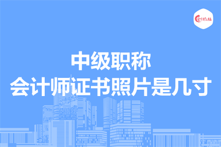 中級職稱會計師證書照片是幾寸