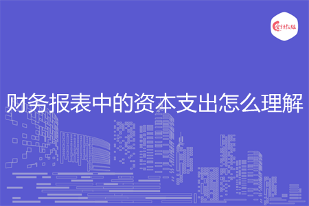 财务报表中的资本支出怎么理解