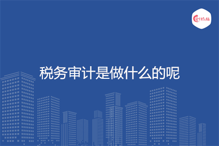税务审计是做什么的呢