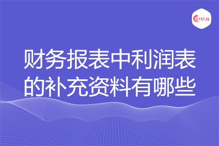 財(cái)務(wù)報(bào)表中利潤(rùn)表的補(bǔ)充資料有哪些