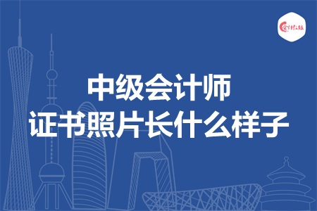 中級會計師證書照片長什么樣子