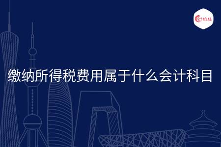 缴纳所得税费用属于什么会计科目 缴纳所得税费用属于什么会计科目