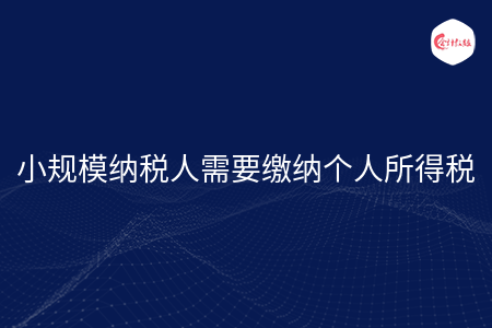 小规模纳税人需要缴纳个人所得税