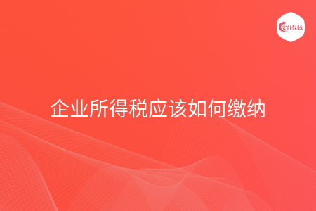 企业所得税应该如何缴纳
