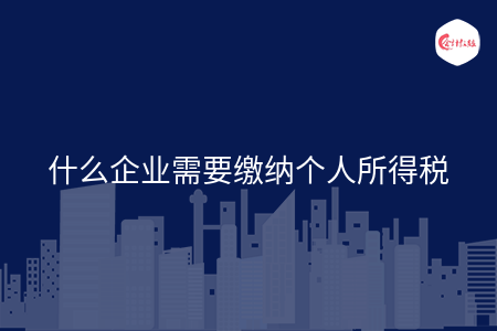 什么企业需要缴纳个人所得税
