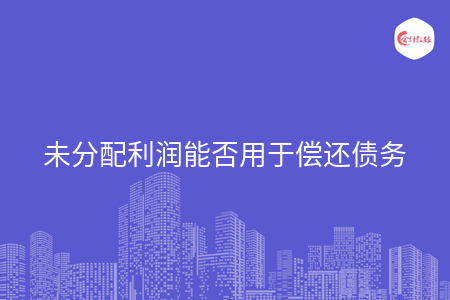 未分配利润能否用于偿还债务
