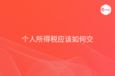 个人所得税应该如何交