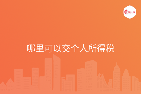 哪里可以交个人所得税