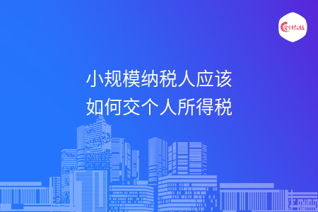 小规模纳税人应该如何交个人所得税