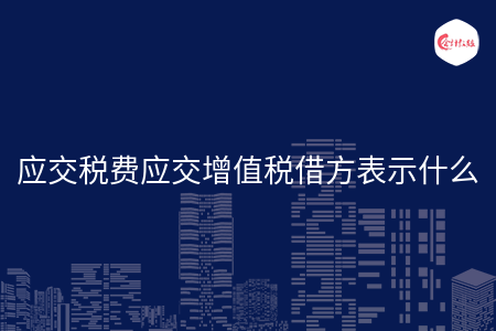 应交税费应交增值税借方表示什么 应交税费应交增值税借方表示什么