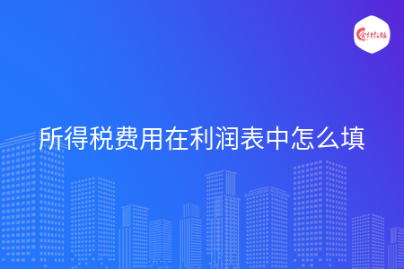 所得税费用在利润表中怎么填 所得税费用在利润表中怎么填