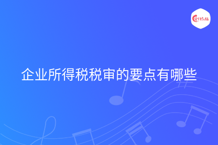 企业所得税税审的要点有哪些