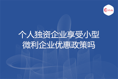 个人独资企业享受小型微利企业优惠政策吗