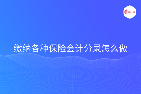 缴纳各种保险会计分录怎么做