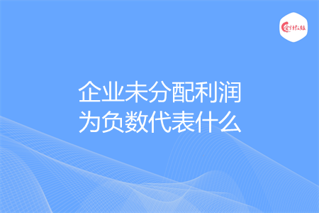 企业未分配利润为负数代表什么