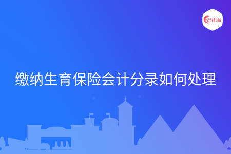 缴纳生育保险会计分录如何处理