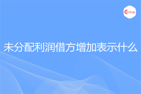 未分配利润借方增加表示什么