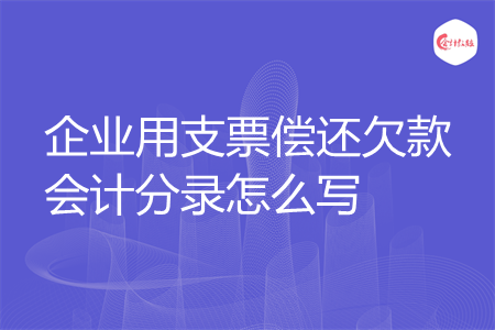 企业用支票偿还欠款会计分录怎么写