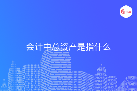 会计中总资产是指什么 会计中总资产是指什么
