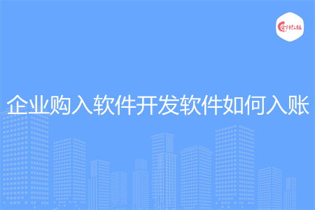 企业购入软件开发软件如何入账