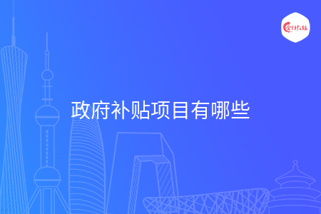 政府补贴项目有哪些