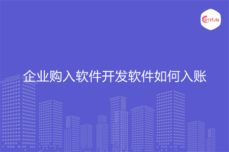 企业购入软件开发软件如何入账