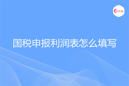 国税申报利润表怎么填写