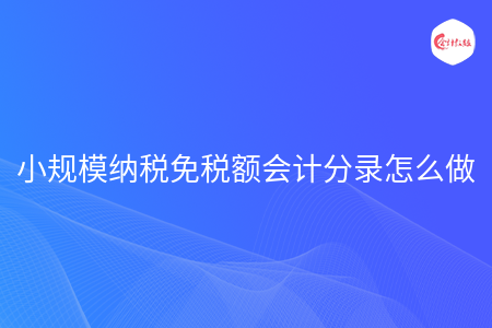 小规模纳税免税额会计分录怎么做