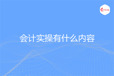 会计实操有什么内容