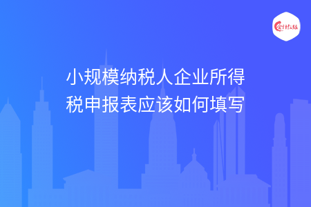 小规模纳税人企业所得税申报表应该如何填写