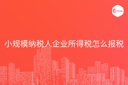 小规模纳税人企业所得税怎么报税