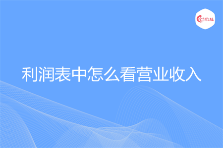 利润表中怎么看营业收入