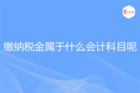 缴纳税金属于什么会计科目呢