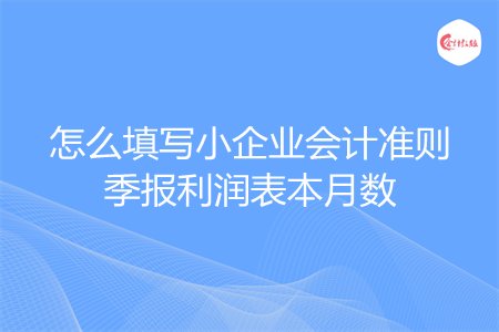 怎么填写小企业会计准则季报利润表本月数