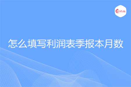 怎么填写利润表季报本月数