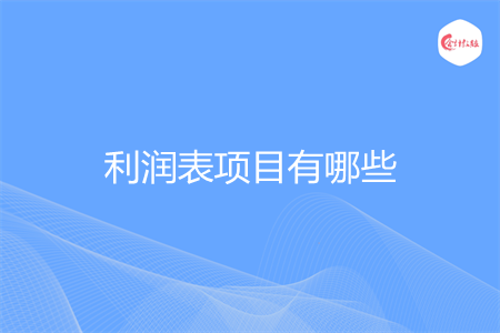 利润表项目有哪些