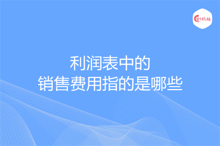 利润表中的销售费用指的是哪些