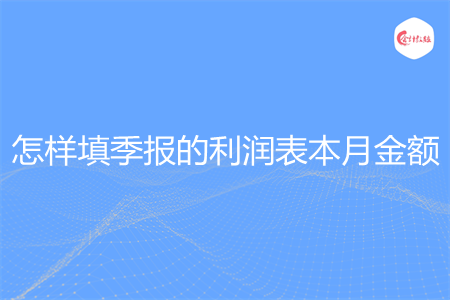 怎样填季报的利润表本月金额