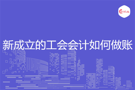 新成立的工会会计如何做账