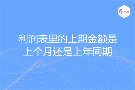 利润表里的上期金额是上个月还是上年同期