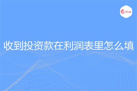 收到投资款在利润表里怎么填